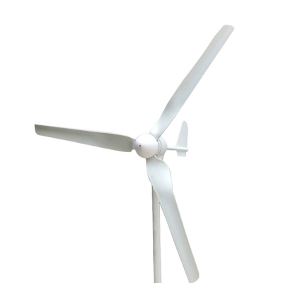 Piccolo generatore eolico orizzontale bianco per uso domestico 600W 800W 1000W 12V 24V 48V