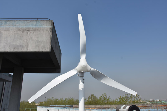 Piccolo mulino di vento orizzontale orizzontale trifase di volt 800W di volt 48 del generatore eolico 24