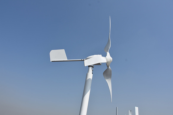 piccolo mulino di vento orizzontale orizzontale di asse del generatore eolico 800W 1000W di 24V 48V