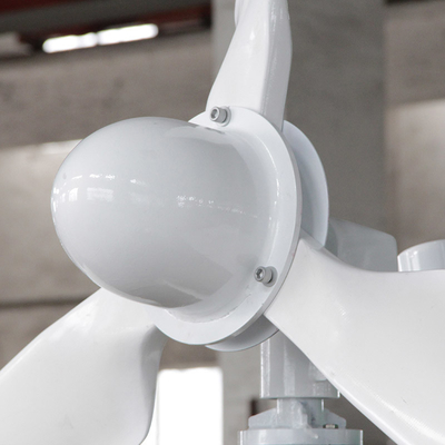 1000W generatore eolico orizzontale dell'energia rinnovabile del generatore eolico a turbina 24V 48V