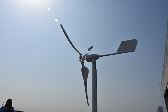 Piccolo generatore eolico orizzontale orizzontale di asse del generatore eolico 24Volt 800W 1kW dell'energia rinnovabile